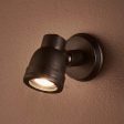 Pasco Outdoor Wall Light in Antique Brass, Antique Silver or Black Online