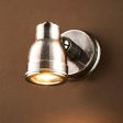 Pasco Outdoor Wall Light in Antique Brass, Antique Silver or Black Online